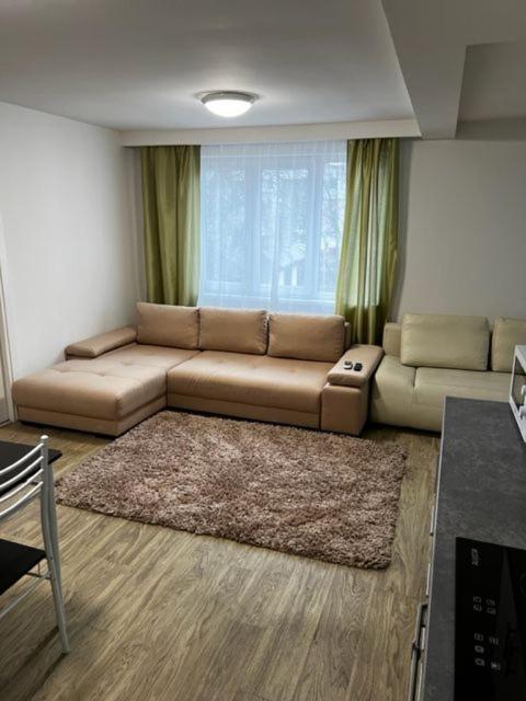 Apartment 9 Targu Mures